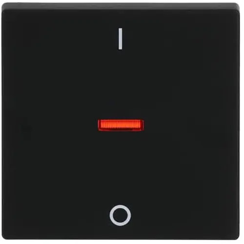 Busch-Jaeger 1788-885 schakelwip controlevenster rood 2-polig en 3-polig Future Linear zwart mat