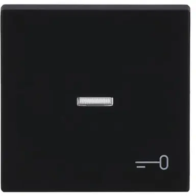 Busch-Jaeger 1789 TR-885 schakelwip controlevenster symbool sleutel Future Linear zwart mat