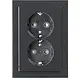 Busch-Jaeger 302EUJT-81 wandcontactdoos 2-voudig randaarde Safety+ voor ovale 1,5 inbouwdoos Future Linear antraciet glans