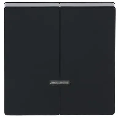 Busch-Jaeger 6545-81 dimmerknop serietastdimmer met controlevenster Future Linear antraciet glans