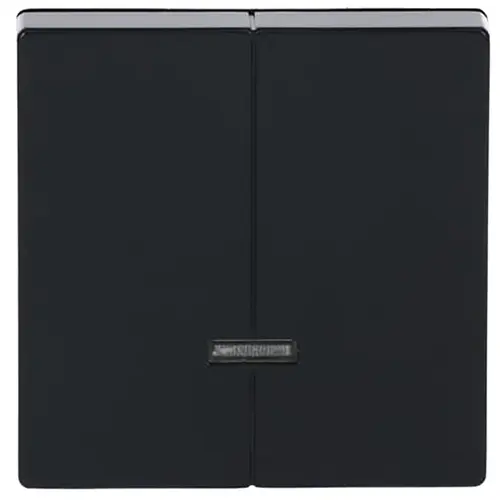 Busch-Jaeger 6545-81 dimmerknop serietastdimmer met controlevenster Future Linear antraciet glans