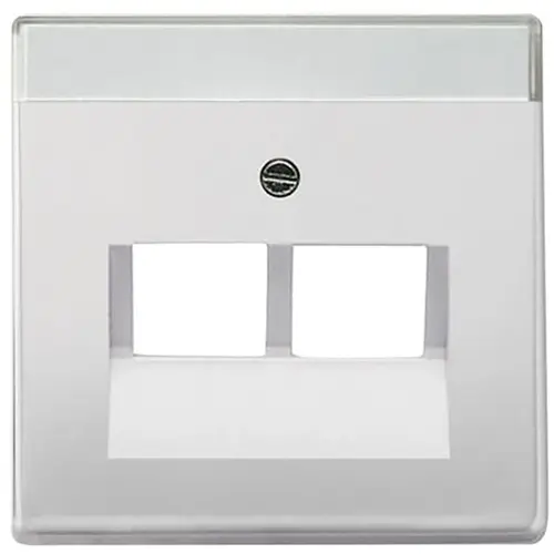 Busch-Jaeger 1803-02-866 centraalplaat RJ45 wandcontactdoos 2-voudig Pure Stainless Steel