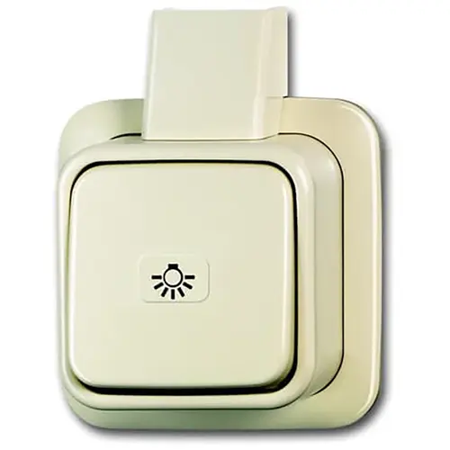 Busch-Jaeger 2601/6 APLIJ wisselschakelaar met licht symbool K/P-25 opbouw AP plus creme