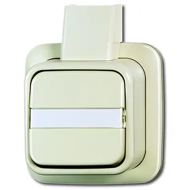 Busch-Jaeger 2601/6 NAPJ wisselschakelaar met tekstvlak K/P-25 opbouw AP plus creme