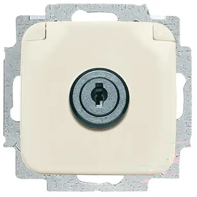 Busch-Jaeger 20 EUKSL-212 wandcontactdoos randaarde sleutelslot standaard SI