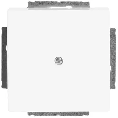 Busch-Jaeger 1742-84 blinddeksel incl. draagframe Future Linear studiowit glans