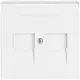 Busch-Jaeger 1800-84 centraalplaat modular jack 2-voudig studiowit