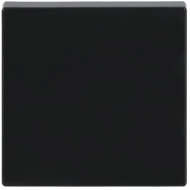 Busch-Jaeger 1786-81 schakelwip Future Linear antraciet glans