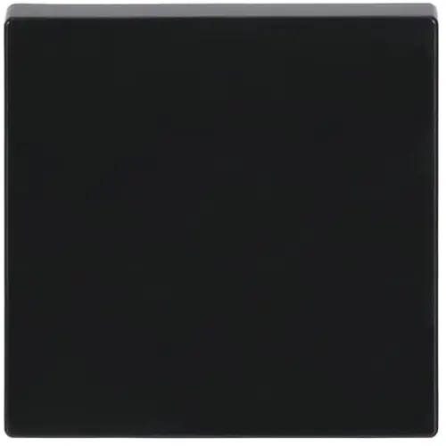 Busch-Jaeger 1786-81 schakelwip Future Linear antraciet glans