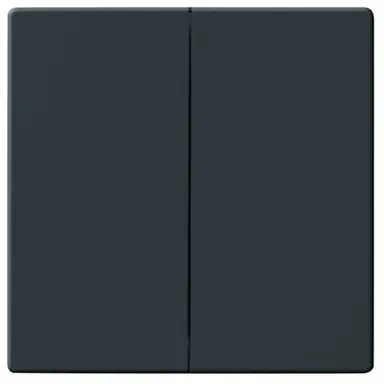 Busch-Jaeger 1785-81 schakelwip 2-voudig Future Linear antraciet glans