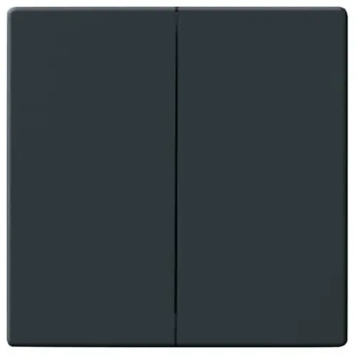 Busch-Jaeger 1785-81 schakelwip 2-voudig Future Linear antraciet glans