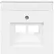 Busch-Jaeger 1803-02-884 centraalplaat RJ45 wandcontactdoos 2-voudig Future Linear studiowit mat