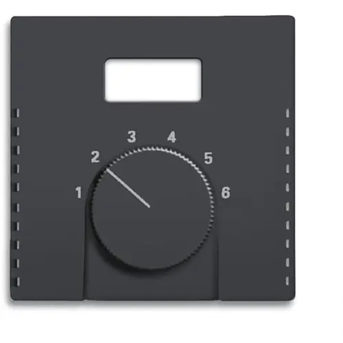 Busch-Jaeger 1794 TA-885 centraalplaat voor inbouw thermostaat met schermopening Future Linear zwart mat