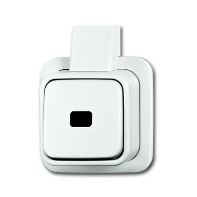 Busch-Jaeger 2621 APJW wip-impulsdrukker 1-polig maakcontact K/P-25 opbouw AP plus wit