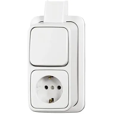 Busch-Jaeger 2601/6/2300 EAPJW combinatie wisselschakelaar/wandcontactdoos met randaarde K/P-25 opbouw AP plus wit