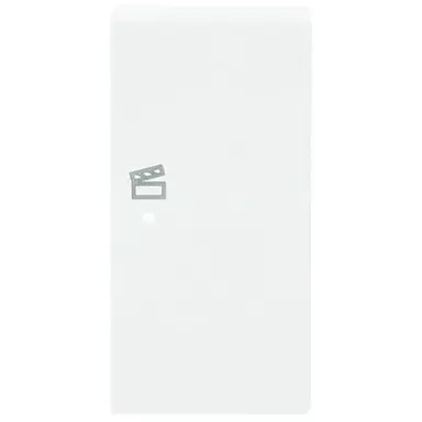 Busch-Jaeger 6233-22-84 bedieningswip rechts symbool scene tbv bedieningselement flex 2-voudig Future Linear studiowit glans