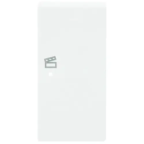 Busch-Jaeger 6233-22-84 bedieningswip rechts symbool scene tbv bedieningselement flex 2-voudig Future Linear studiowit glans