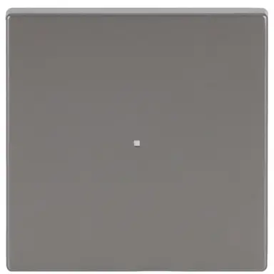 Busch-Jaeger 6230-10-866 Flex-bedieningswip 1-voudig Pure RVS