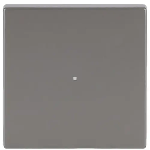 Busch-Jaeger 6230-10-866 Flex-bedieningswip 1-voudig Pure RVS