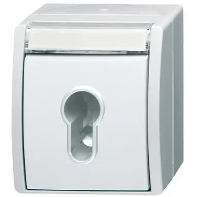 Busch-Jaeger 2733 SLW-54 sleutlschak opb ip44ocn-alp