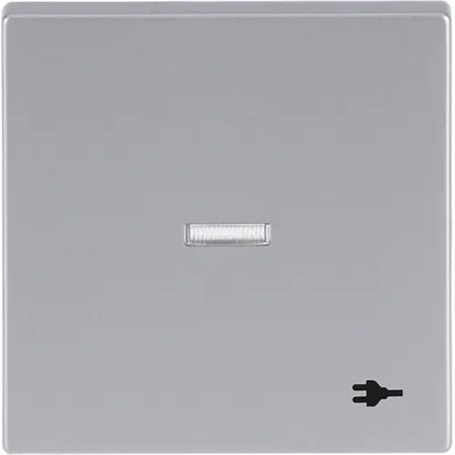 Busch-Jaeger 1789 ST-83 schakelwip controlevenster symbool stekker Future Linear aluzilver