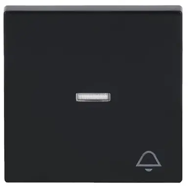 Busch-Jaeger 1789 KI-81 schakelwip controlevenster symbool bel Future Linear antraciet glans