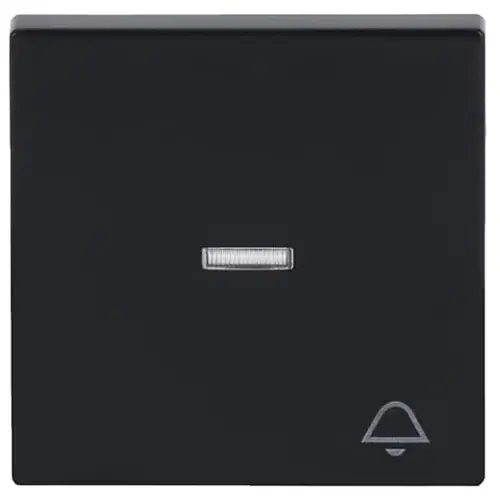 Busch-Jaeger 1789 KI-81 schakelwip controlevenster symbool bel Future Linear antraciet glans