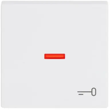 Busch-Jaeger 1789 TR-84 schakelwip controlevenster symbool sleutel Future Linear studiowit glans