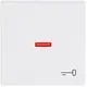 Busch-Jaeger 1789 TR-84 schakelwip controlevenster symbool sleutel Future Linear studiowit glans