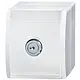 Busch-Jaeger 20 EWSL-54 wandcontactdoos randaarde klapdeksel sleutelslot opbouw Ocean IP44 alpinwit