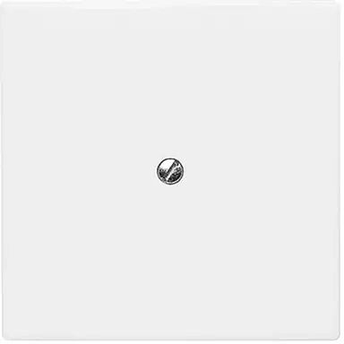 Busch-Jaeger 2138-34 blindplaat incl. draagframe IP44 alpinwit