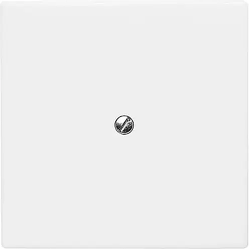 Busch-Jaeger 2138-34 blindplaat incl. draagframe IP44 alpinwit