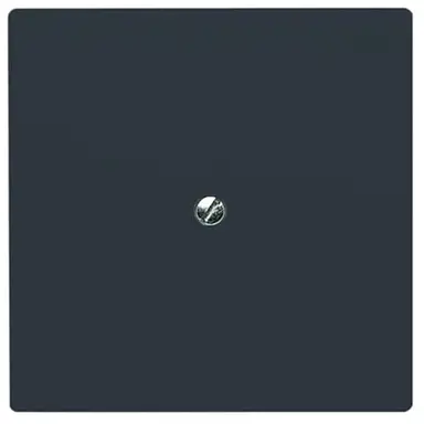 Busch-Jaeger 2138-35 blindplaat incl. draagframe IP44 antraciet