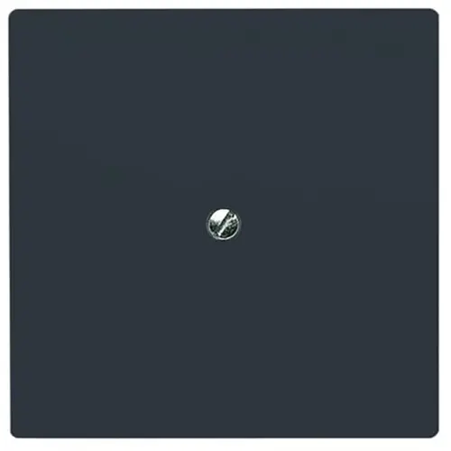 Busch-Jaeger 2138-35 blindplaat incl. draagframe IP44 antraciet