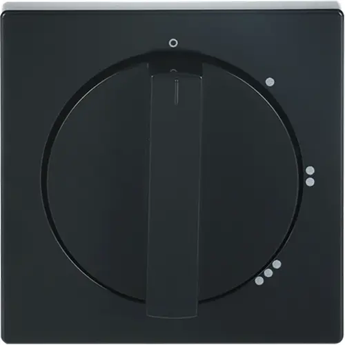 Busch-Jaeger 2542 DR/01-81 draaiknop driestandenschakelaar met nulstand antraciet glans