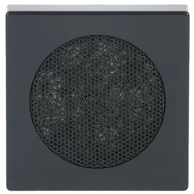 Busch-Jaeger 8253-81 centraalplaat voor luidspreker Future Linear antraciet glans