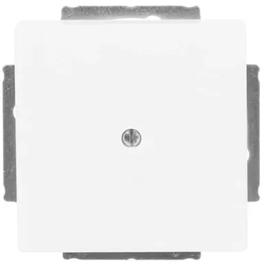 Busch-Jaeger 1742-884 blinddeksel incl. draagframe Future Linear studiowit mat