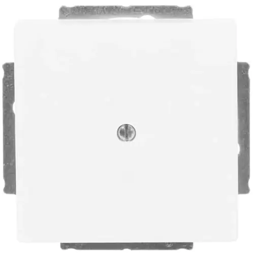 Busch-Jaeger 1742-884 blinddeksel incl. draagframe Future Linear studiowit mat