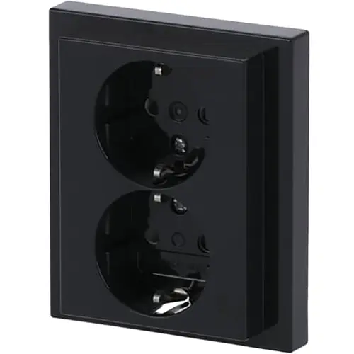 Busch-Jaeger 202 EUJB-81 wandcontactdoos 2-voudig randaarde kindveilig voor enkele inbouwdoos Future Linear antraciet glans