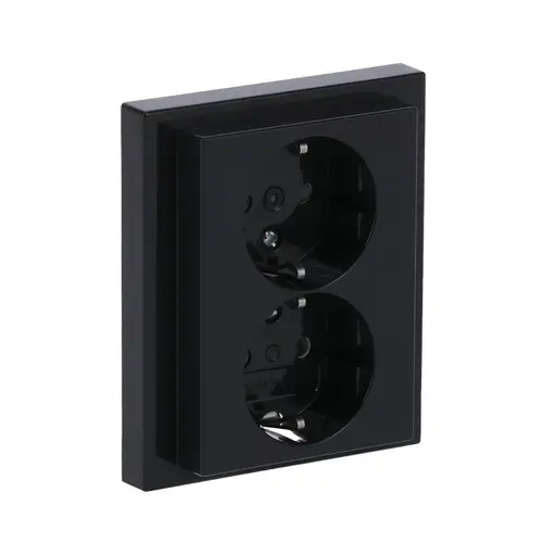 Busch-Jaeger 202 EUJB-81 wandcontactdoos 2-voudig randaarde kindveilig voor enkele inbouwdoos Future Linear antraciet glans