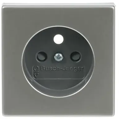 Busch-Jaeger 2399 UCKS-866 centraalplaat voor wandcontactdoos met penaarde Pure Stainless Steel