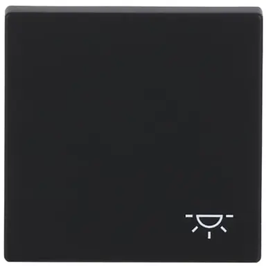 Busch-Jaeger 2520 LI-885 schakelwip symbool licht Future Linear zwart mat