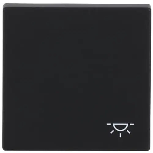 Busch-Jaeger 2520 LI-885 schakelwip symbool licht Future Linear zwart mat