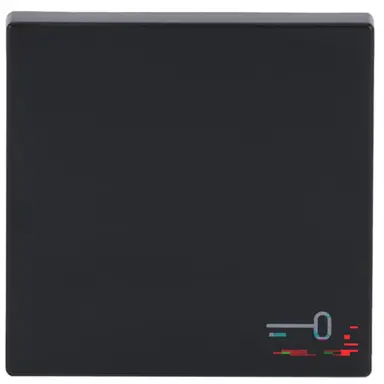 Busch-Jaeger 2520 TR-81 schakelwip symbool sleutel Future Linear antraciet glans