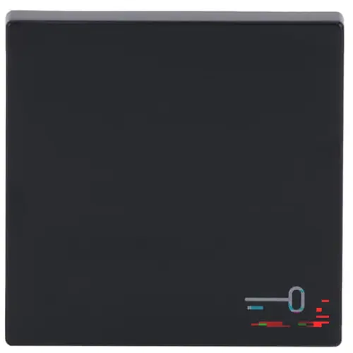 Busch-Jaeger 2520 TR-81 schakelwip symbool sleutel Future Linear antraciet glans