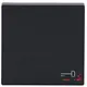 Busch-Jaeger 2520 TR-81 schakelwip symbool sleutel Future Linear antraciet glans