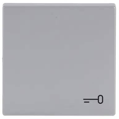 Busch-Jaeger 2520 TR-83 schakelwip symbool sleutel Future Linear aluzilver