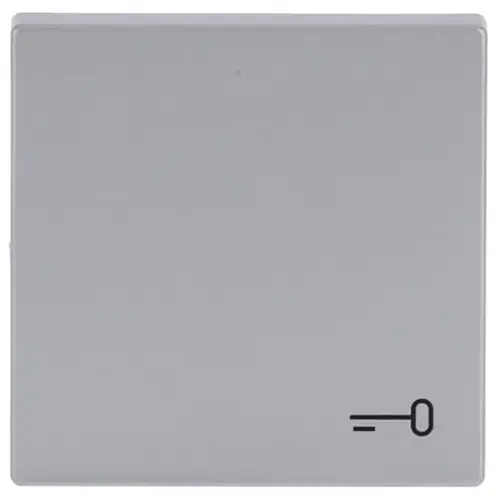 Busch-Jaeger 2520 TR-83 schakelwip symbool sleutel Future Linear aluzilver