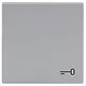 Busch-Jaeger 2520 TR-83 schakelwip symbool sleutel Future Linear aluzilver
