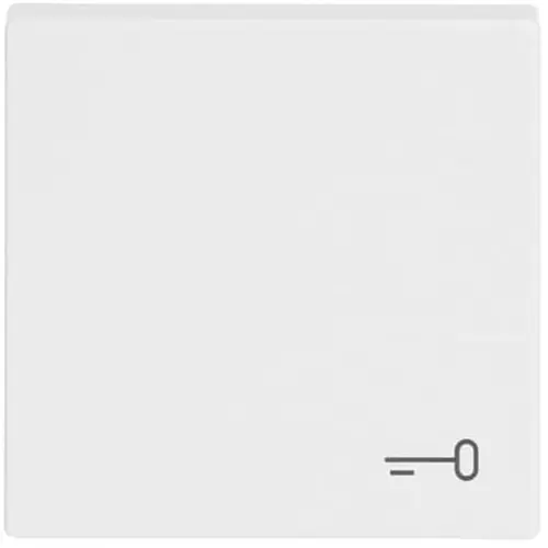 Busch-Jaeger 2520 TR-84 schakelwip symbool sleutel Future Linear studiowit glans